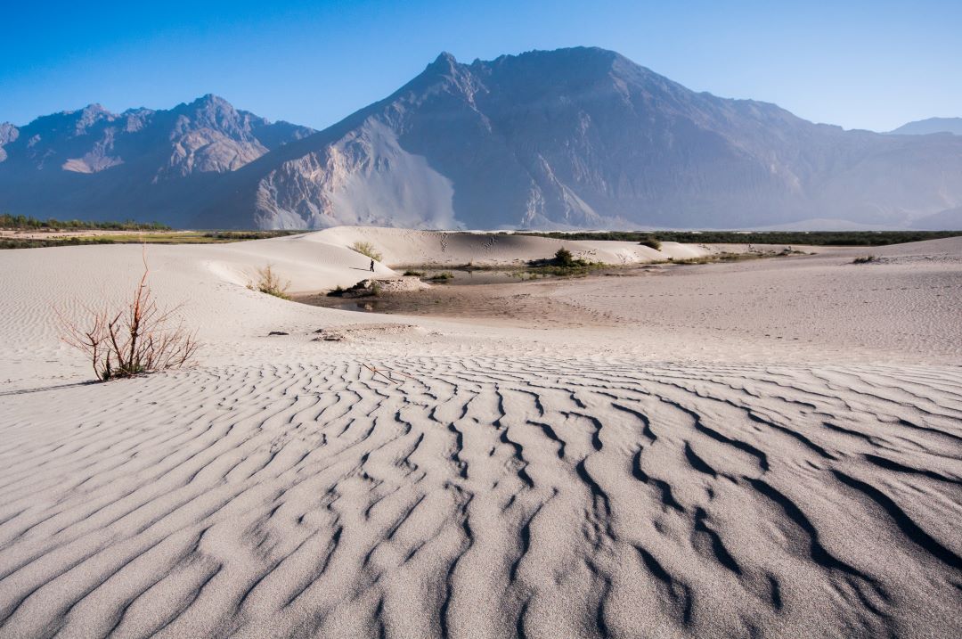 nubra sand dunes